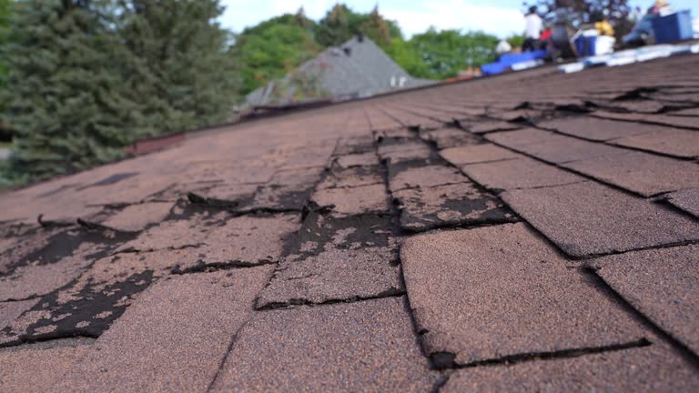 Best Roof Moss and Algae Removal  in Foster Brook, PA